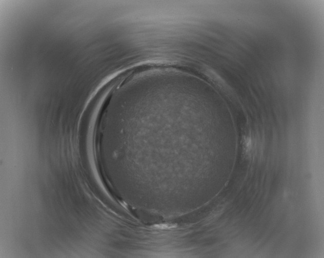 X0000067460484200604142328