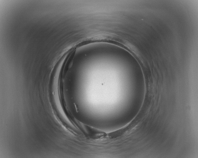 X0000067460485200604142328