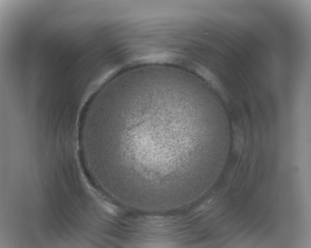 X0000067460486200604142328