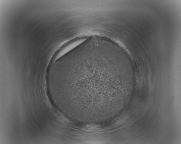 X0000067460487200604142328