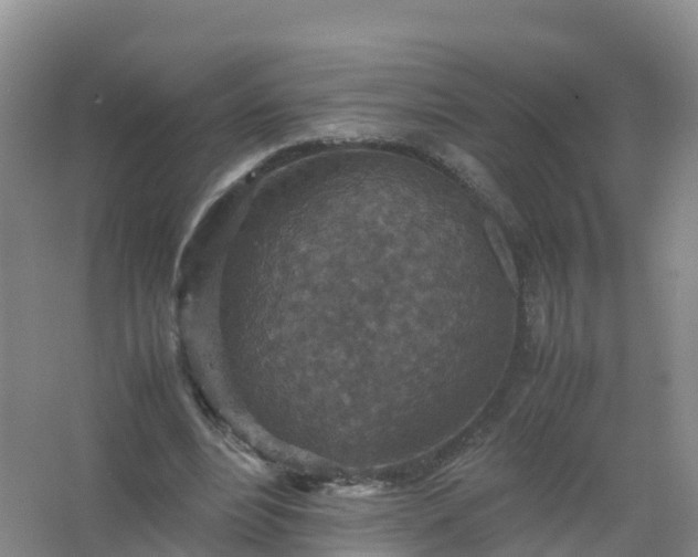 X0000067460488200604142328