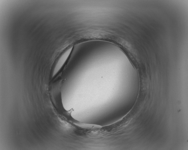 X0000067460489200604142328