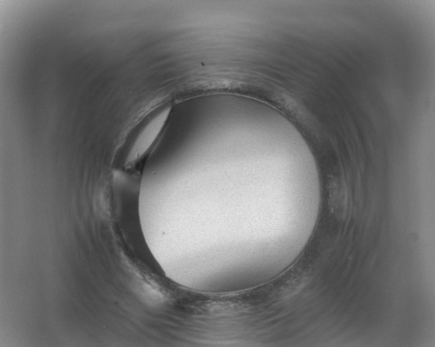 X0000067460490200604142328