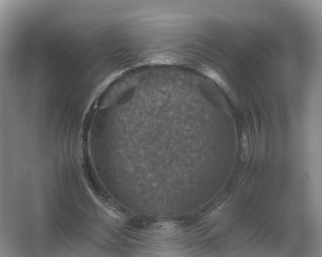 X0000067460492200604142328