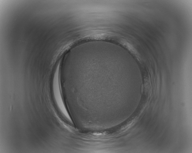 X0000067460493200604142328