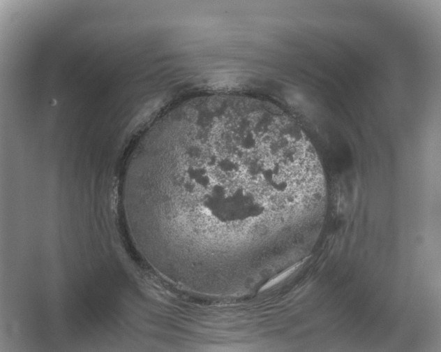 X0000067460495200604142328