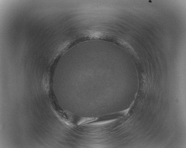 X0000067460496200604142328