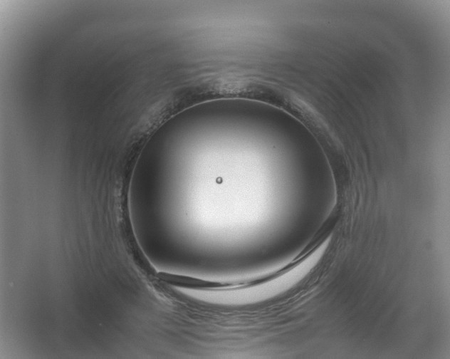 X0000067460497200604142328