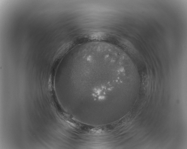 X0000067460502200604142328