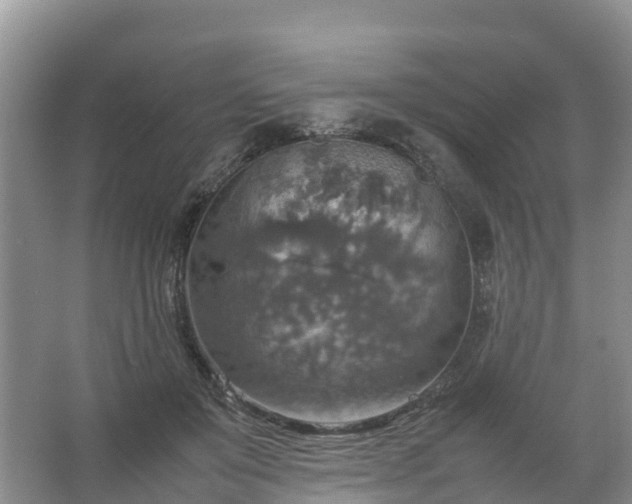 X0000067460503200604142328