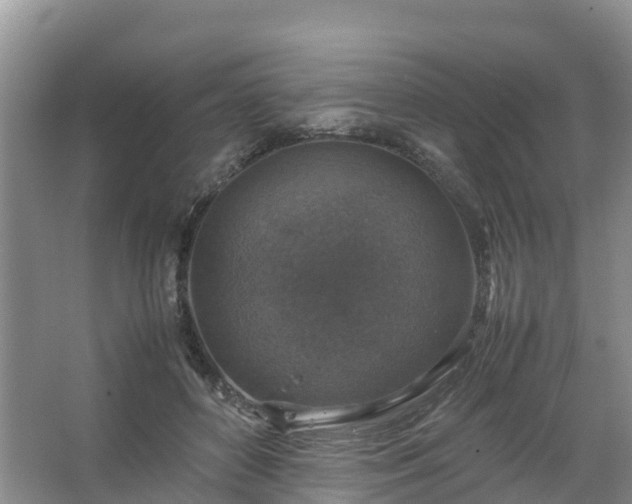 X0000067460504200604142328