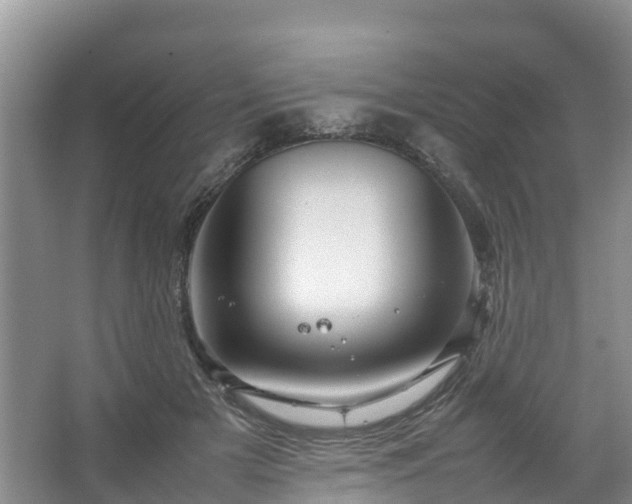 X0000067460505200604142328