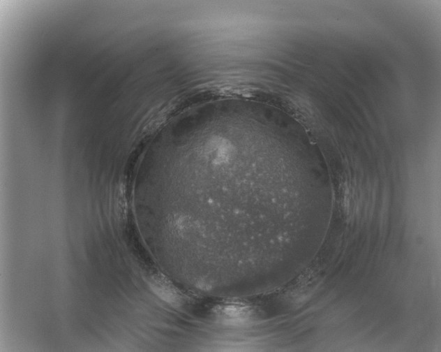 X0000067460506200604142328