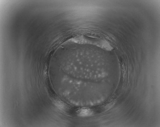 X0000067460507200604142328