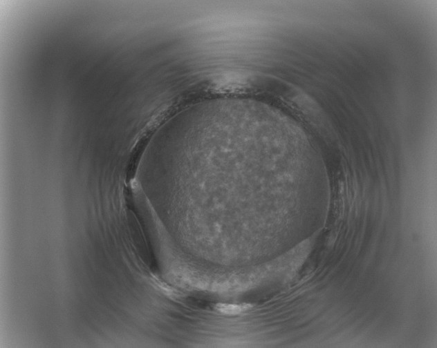 X0000067460508200604142328