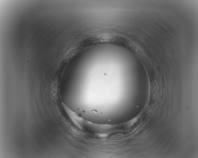 X0000067460509200604142328