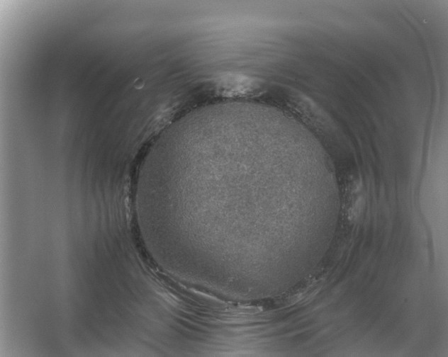 X0000067460510200604142328