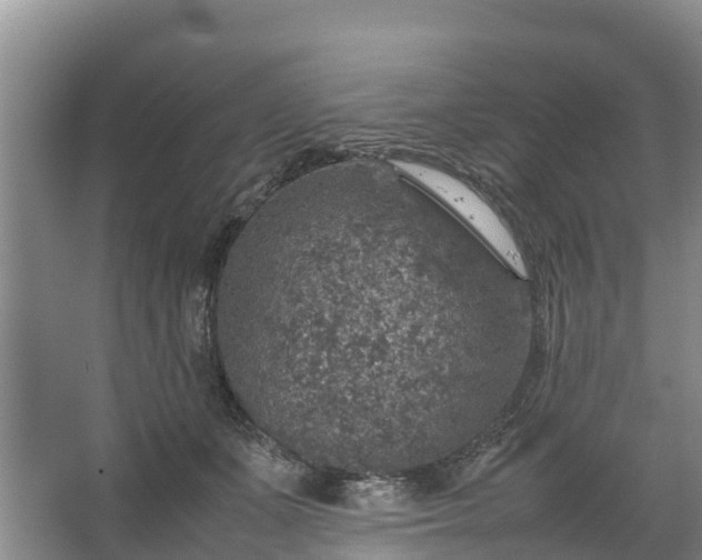 X0000067460511200604142328