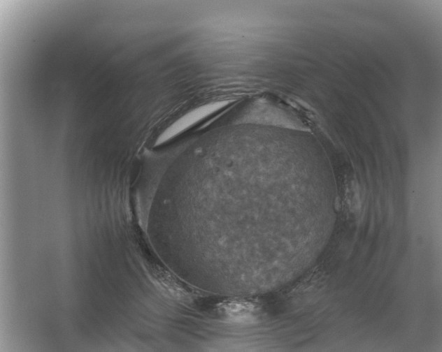 X0000067460512200604142328