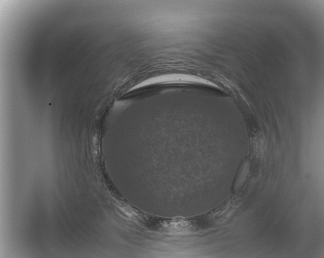 X0000067460517200604142328