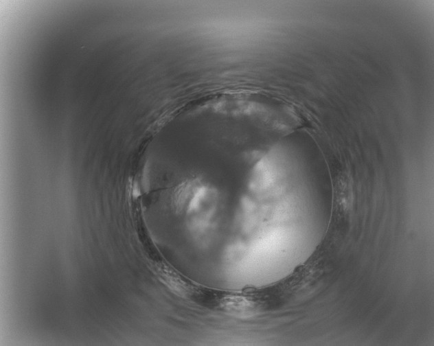 X0000067460519200604142328