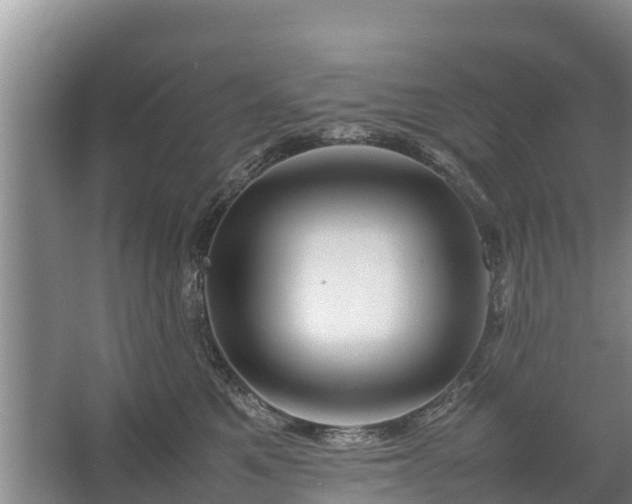 X0000067460521200604142328