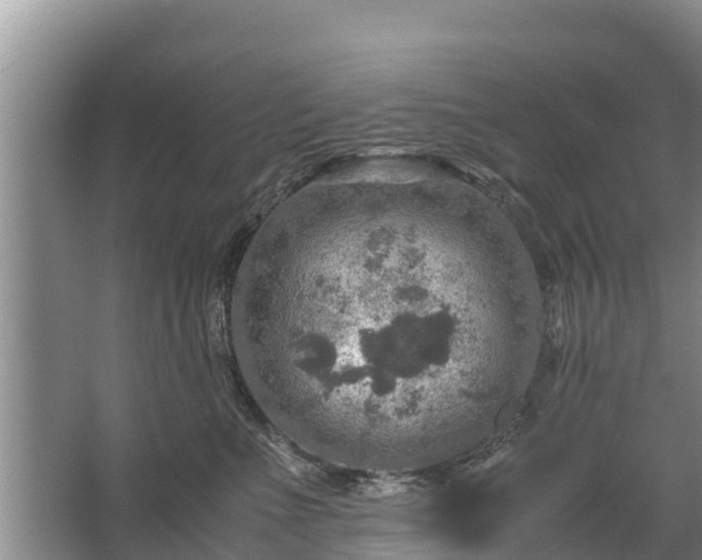 X0000067460523200604142328