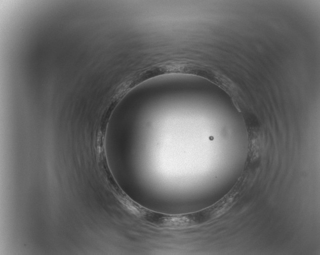 X0000067460525200604142328