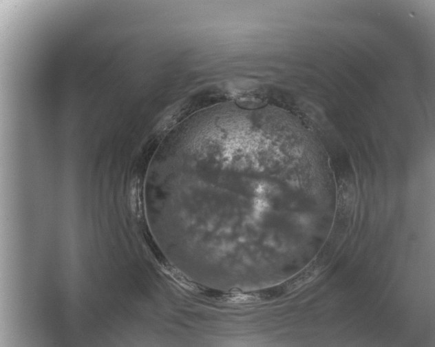 X0000067460527200604142328