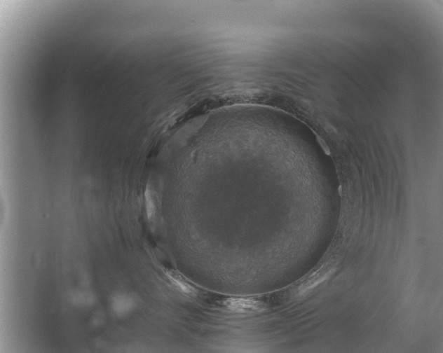 X0000067460528200604142328