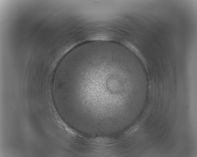 X0000067460529200604142327