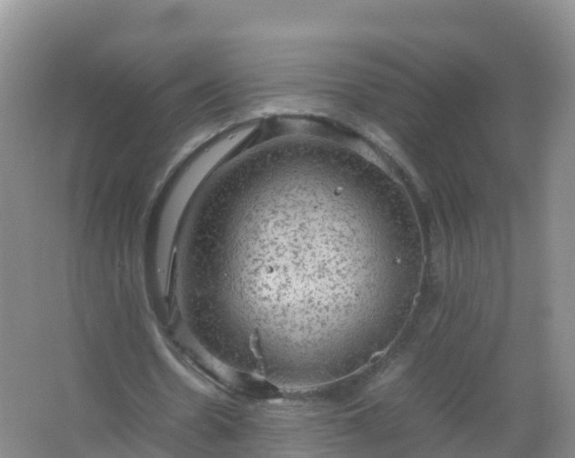 X0000067460530200604142327