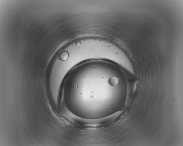 X0000067460534200604142327