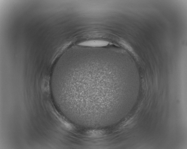 X0000067460537200604142327