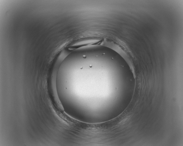 X0000067460538200604142327