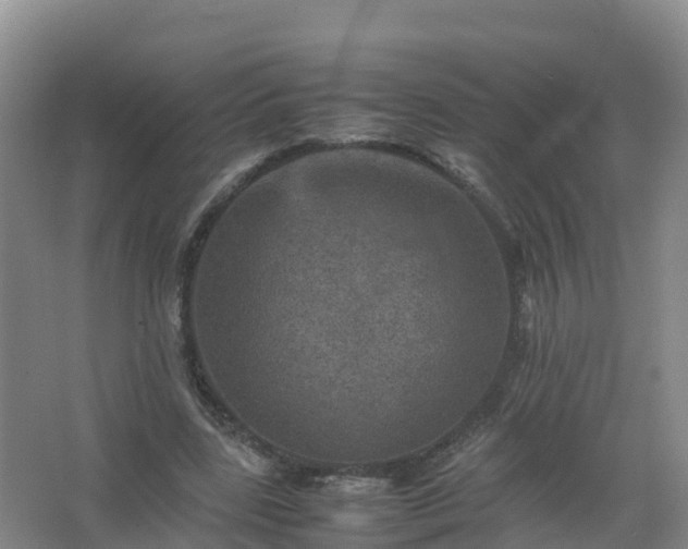 X0000067460539200604142327