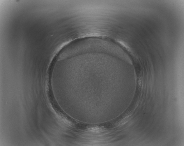 X0000067460540200604142327