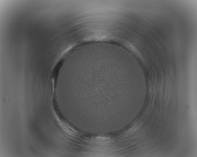 X0000067460542200604142327