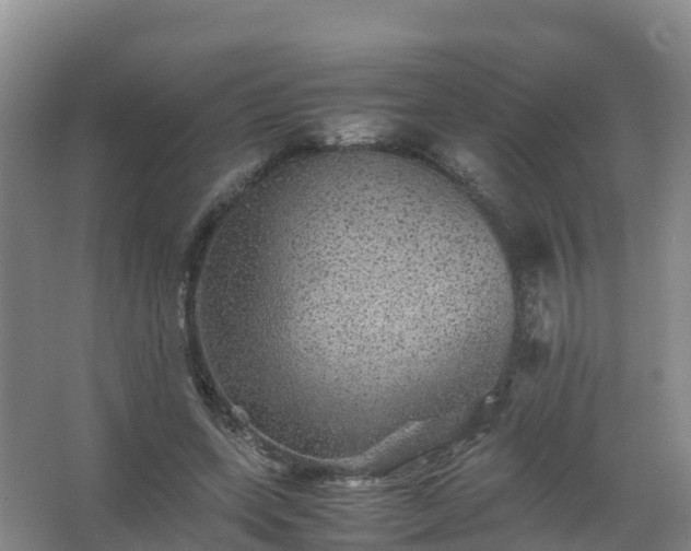 X0000067460543200604142327