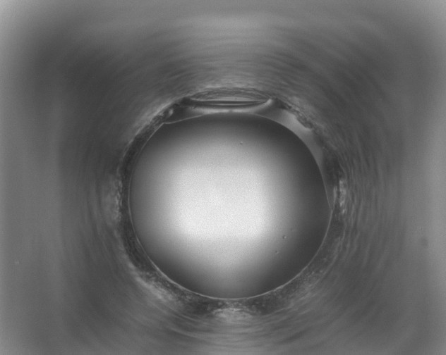 X0000067460544200604142327