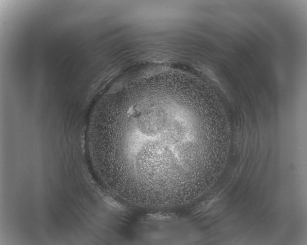 X0000067460545200604142327