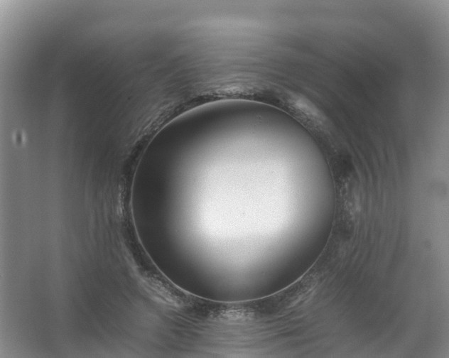 X0000067460546200604142327