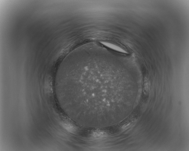 X0000067460547200604142327