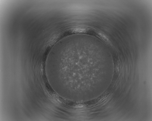 X0000067460551200604142327