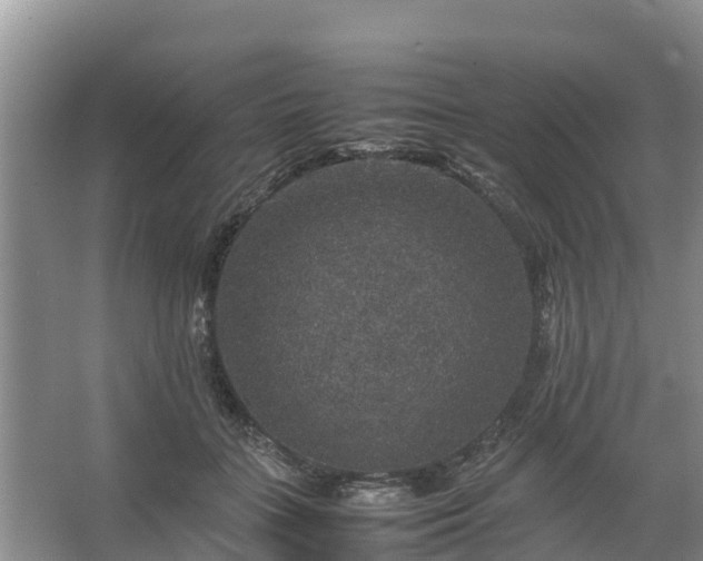 X0000067460555200604142327