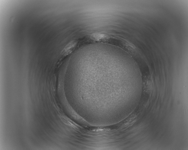 X0000067460558200604142327