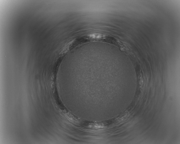 X0000067460559200604142327