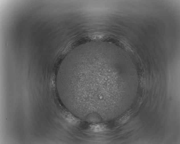 X0000067460561200604142327