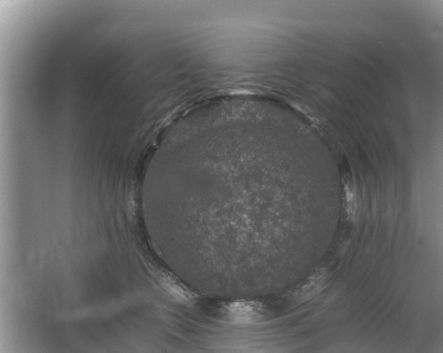 X0000067460566200604142327