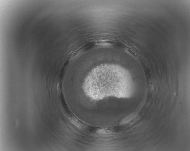 X0000067460568200604142327